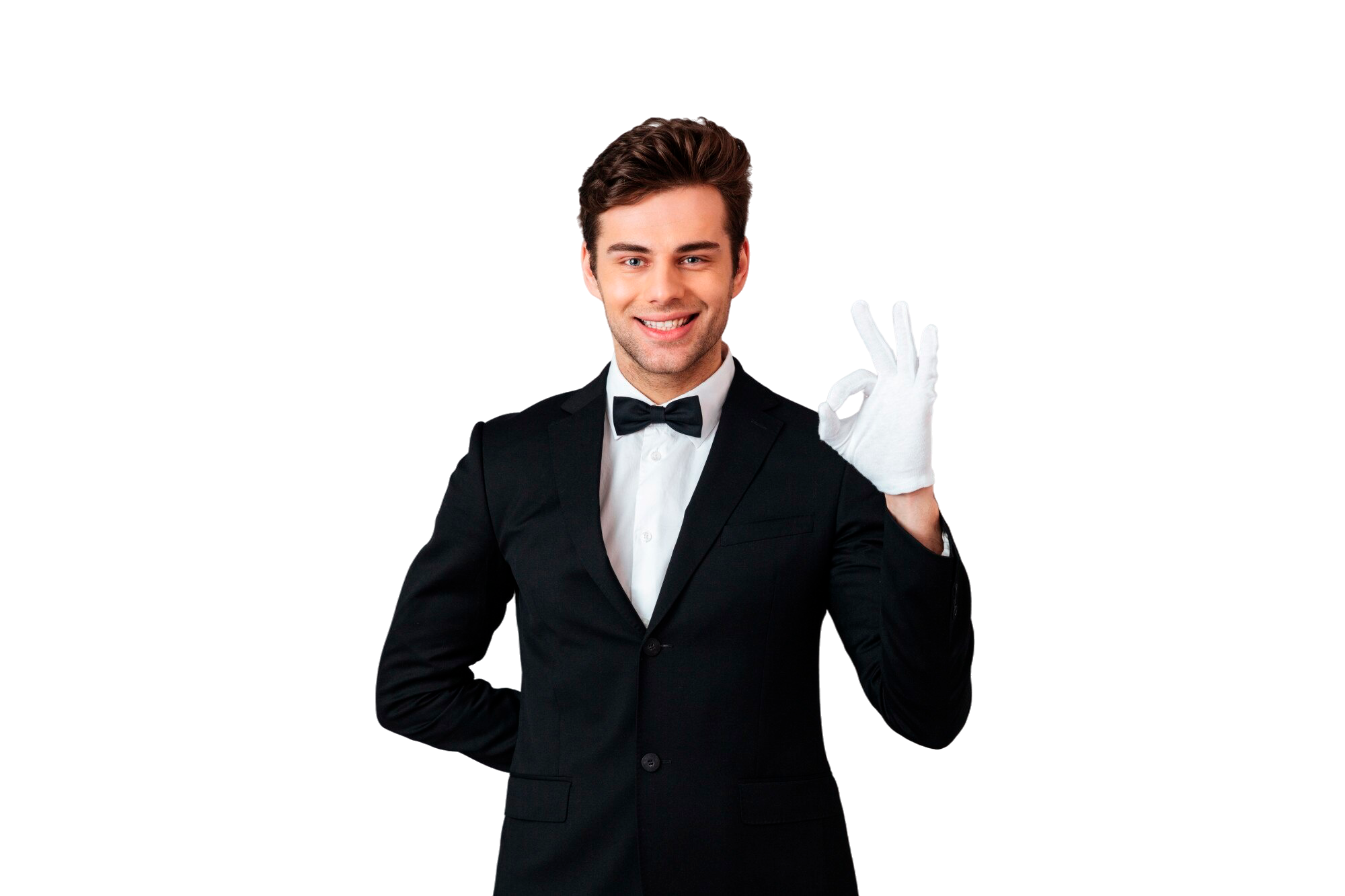 Professional Waiter
